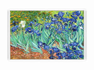 Irises By Van Gogh Painting Framed Print