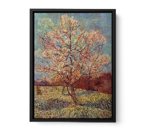 Peach Tree in Blossom / Flowering Peach Tree canvas Print