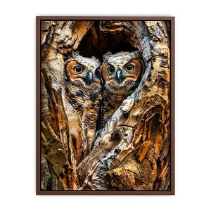 Two owls in tree hollow wildlife photography with soft natural tones rustic luxury wall art