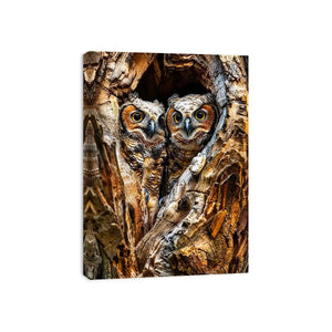 Two owls in tree hollow wildlife photography with soft natural tones rustic luxury wall art