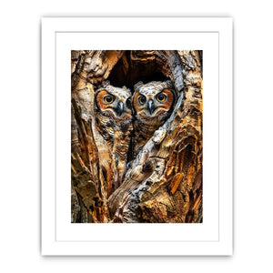 Two owls in tree hollow wildlife photography with soft natural tones rustic luxury wall art