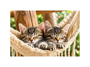 Bright cozy sleeping kitten wall art featuring two tabby cats resting in a woven hammock with soft natural daylight and neutral organic tones.