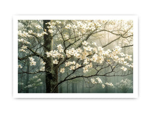 Soft magnolia blossom wall art featuring delicate white flowers on misty woodland branches with calming neutral tones and elegant botanical styling.