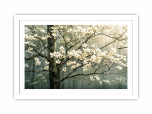 Soft magnolia blossom wall art featuring delicate white flowers on misty woodland branches with calming neutral tones and elegant botanical styling.