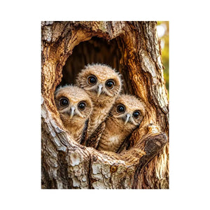 Cute baby owls inside rustic tree hollow woodland animal nature wall art canvas