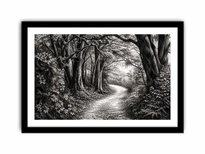 Black and white forest path wall art with detailed woodland trees and vintage nature illustration aesthetic