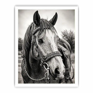 Black and white horse portrait wall art with detailed western bridle and elegant monochrome countryside aesthetic