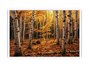 Luxury autumn birch forest wall art with golden foliage and white tree trunks in a serene woodland landscape painting style