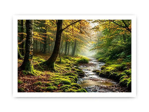 Misty forest creek landscape with mossy woodland trees and peaceful nature wall art canvas