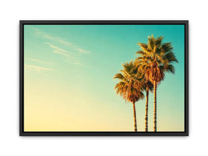 Tall tropical palm trees against soft pastel sky
