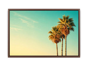 Tall tropical palm trees against soft pastel sky