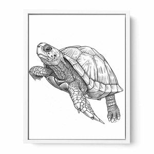 Color Me Turtle Painting