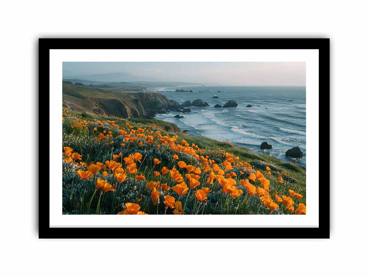 California Poppies Pacific Coast  framed Print