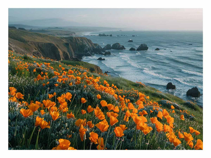 California Poppies Pacific Coast  Art Print