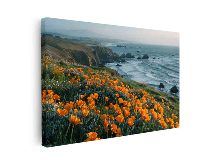 California Poppies Pacific Coast canvas Print