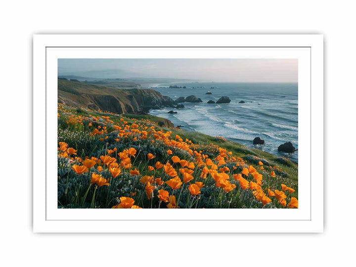 California Poppies Pacific Coast  framed Print