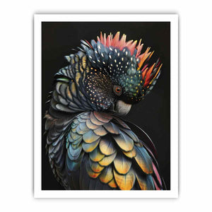 Cockatoo Rainbow framed Print