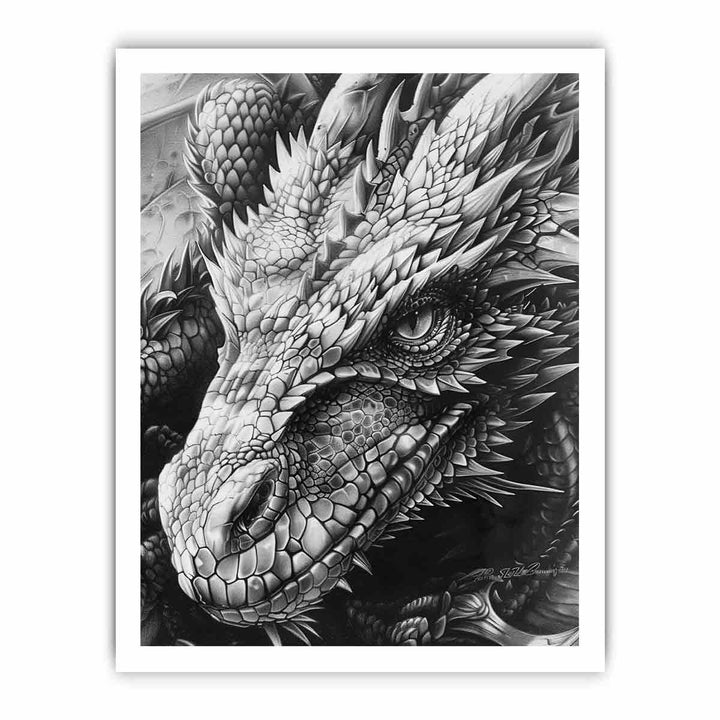 Dragon Drawing framed Print