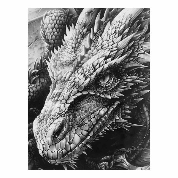 Dragon Drawing Art Print