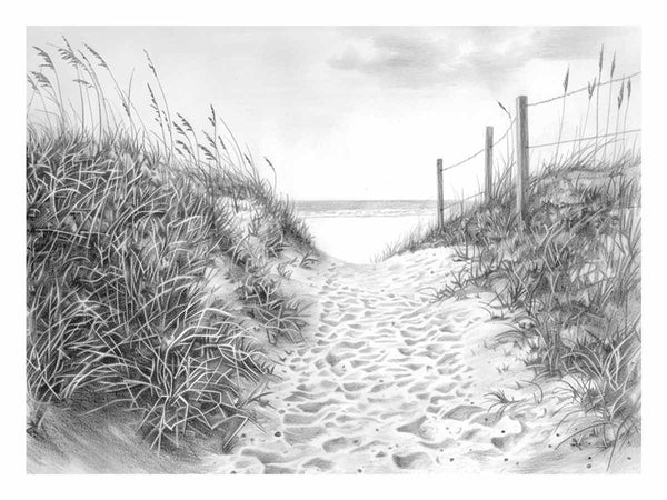 Beach Path Drawing Art Print