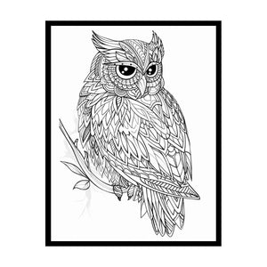 Colour Me Owl canvas Print