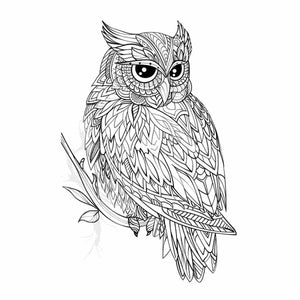 Colour Me Owl Art Print