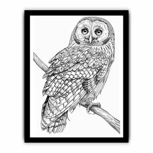 Color Me Owl framed Print