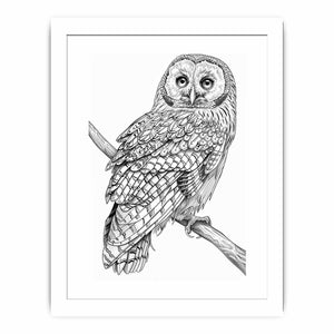 Color Me Owl framed Print
