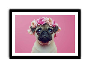 Pug Dog framed Print