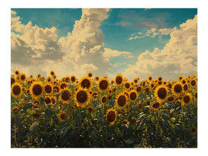 Sunflower field canvas print with golden flowers and blue sky for cheerful living room decor.