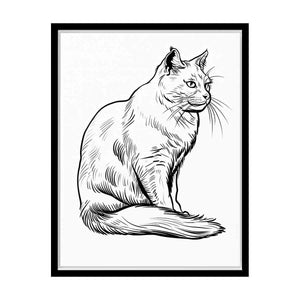 Colour me Cat canvas Print