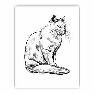 Colour me Cat framed Print