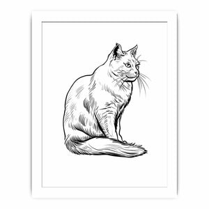 Colour me Cat framed Print