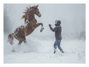 Dramatic horse in snow photography wall art for rustic modern living room decor.