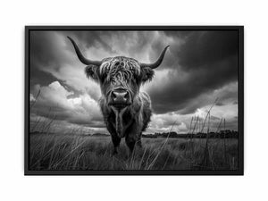 Minimal black and white Highland cow portrait canvas print for modern farmhouse living room decor.