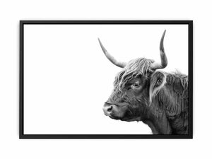 Cow Art canvas Print