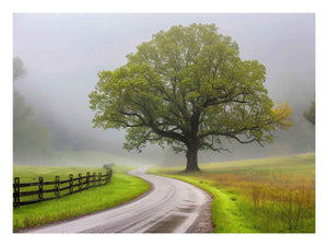Misty country road wall art with large tree and green fields for farmhouse living room decor.