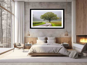 Misty Oak Road