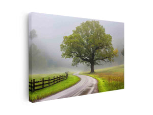 Misty country road wall art with large tree and green fields for farmhouse living room decor.