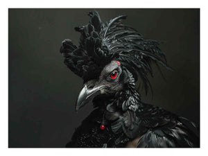Black Cocky Art Print