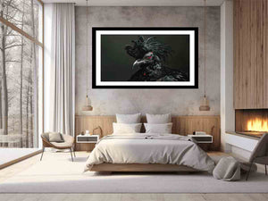Black Cocky Art Print