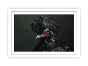 Black Cocky Art framed Print