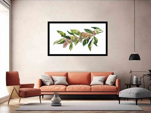Botanical Branch