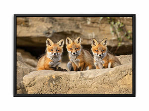 Three curious fox kits wildlife canvas art for rustic living room and nature inspired home decor