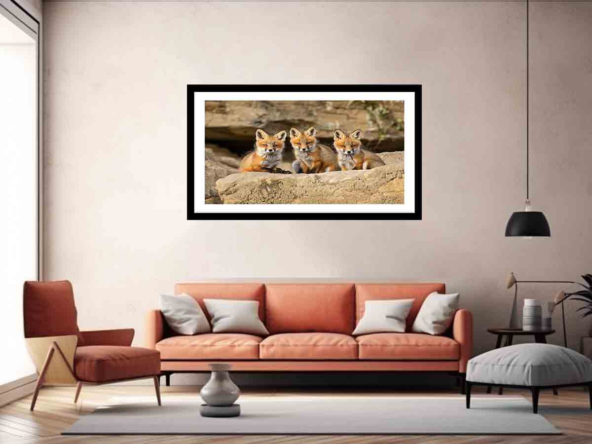 Curious Fox Trio