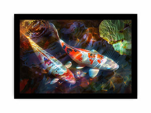 Koi Fish Art framed Print