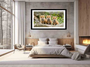 Red Fox Art Print