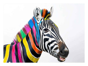Colorful zebra portrait canvas art for bold modern kids room or office decor.