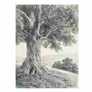 Black and white ancient tree drawing canvas art for calm living room decor.