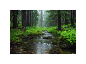 Green forest stream canvas art for calm biophilic living room or office decor.